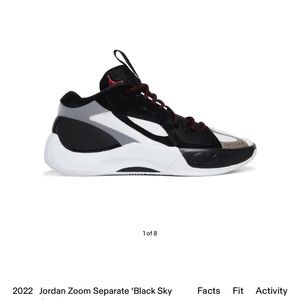 Air Jordan Zoom Dual Density